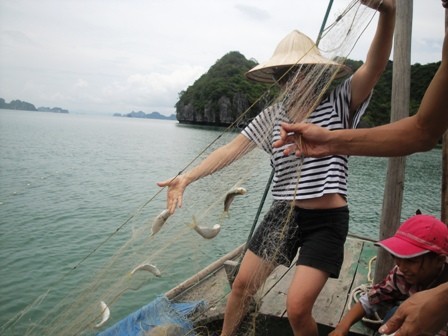 Trải nghiệm “Một ngày làm dân chài” - ảnh 4